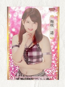 ☆ BBM2022 女子プロレスカード インサートカード SP5 梅咲遥 ☆
