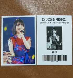 乃木坂46　CHOOSE 5 PHOTOS! 生田絵梨花　卒業コンサート LIVE PHOTO Ver. No.210　生写真　阪口珠美