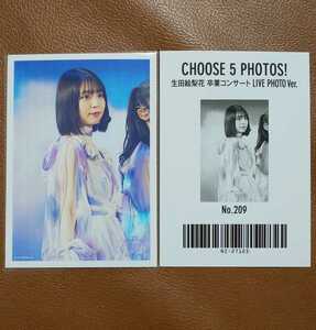 乃木坂46　CHOOSE 5 PHOTOS! 生田絵梨花　卒業コンサート LIVE PHOTO Ver. No.209　生写真　阪口珠美