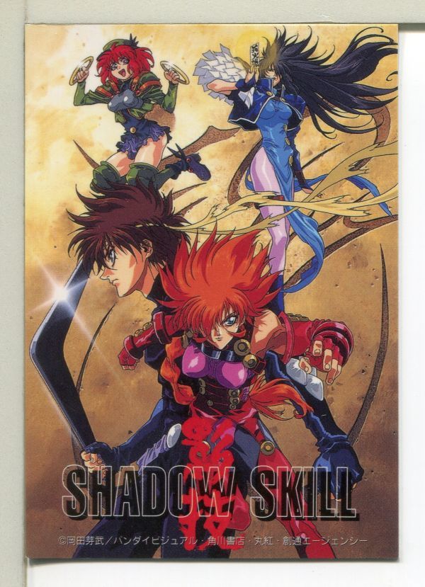 軽量+ストレッチ性+吸水速乾 VHS シャドウスキル 12本セット