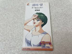 【C-4-1008】　　清川望 みつめていたい ときめきメモリアル 8センチCD 視聴確認済