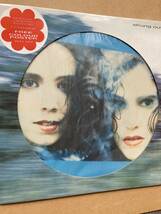 ポスター付き ピクチャー盤 WENDY & LISA / STRUNG OUT VSTY-1272 PICTURE DISC_画像7