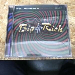 シ● HIPHOP,R&B BIG & RICH - FORSE OF A DIFFERENT COLOR アルバム,INDIE CD 中古品