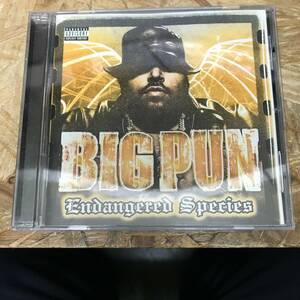 シ● HIPHOP,R&B BIG PUN - ENDANGERED SPECIES アルバム,名盤!!! CD 中古品