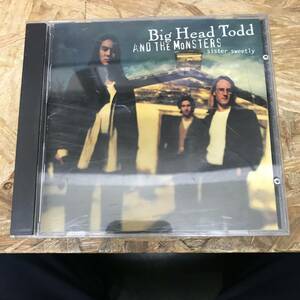 ● ROCK,POPS BIG HEAD TODD AND THE MONSTERS - SISTER SWEETLY アルバム,RARE,INDIE CD 中古品