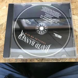 ● HIPHOP,R&B DAVID BANNER - CADILLAC ON 22'S INST,シングル CD 中古品