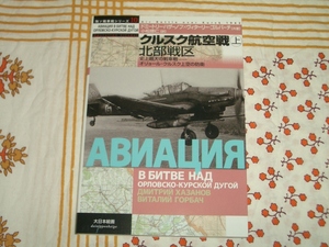 大日本絵画★独ソ戦車戦10 クルスク航空戦「上」北部戦区★ドイツ軍