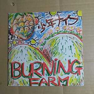 少年ナイフ「Burning Farm」邦オリジナル8インチ1stアルバム　1983年★★shonen knife alternative punk　ramones nirvana