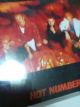 The Fabulous Thunderbirds / Hot Number (レンタル落ち) 中古_画像5