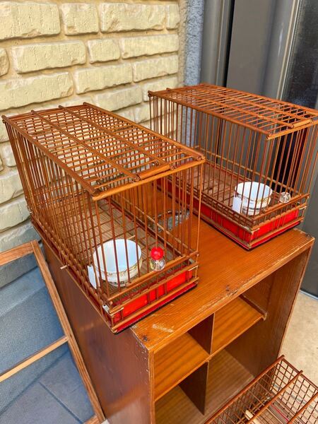 鳥籠 とりかご メジロ ウグイス 竹籠 竹細工