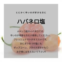 ハバネロ塩 持ち運び便利なミニボトル 30㌘ 1本_画像2