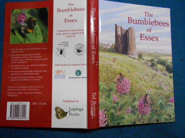 即決　昆虫学、Incect　2000年『エセックスのマルハナバチ　Bumblebees of Essex』ハチ目、膜翅目、社会性ハチ類、Social wasps