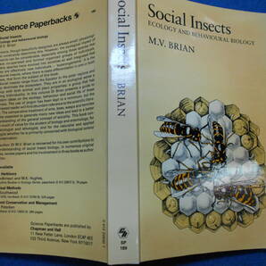 即決　昆虫学、Incect　1983年『社会性昆虫　Social Insects』ハチ目、膜翅目、社会性ハチ類、アリ　Social wasps, Social bees,