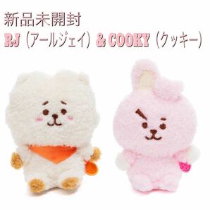 BT21フルーツビーンドール　RJ（アールジェイ）COOKY（クッキー）2点セット