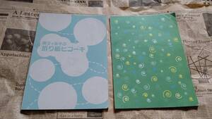 【親子であそぶ 折り紙ヒコーキ 専用用紙32枚付き 中古品】二見書房