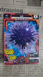 * cheap postage 63 jpy ~*[ Great Animal Kaiser /A-113/ normal / purple sea urchin / Fighter card /godo5.]