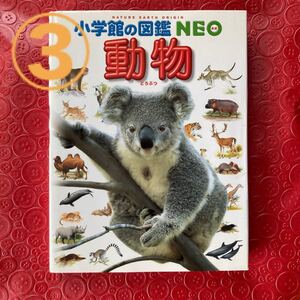 3:動物 小学館の図鑑NEO1/三浦真悟 (著者)