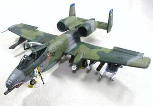  the US armed forces A10A Thunderbolt IIita rely 1/48 final product 