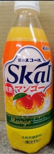 賞味期限22年8月【宅配便送料無料】スコール☆完熟マンゴー 500ml ペットボトル6本 ★Skal Dairy