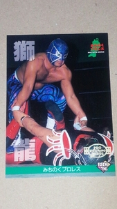 BBMプロレスカード1996　獅龍　カズハヤシ　みちのくプロレス