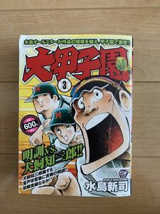 水島新司 激レア！「大甲子園③ 明訓VS.犬飼知三郎!!」 初版本 秋田書店 激安！