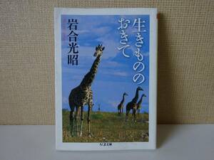 used★第2刷★文庫本 / 岩合光昭『生きもののおきて』/ アフリカ【カバー/ちくま文庫/2014年9月10日第2刷発行】