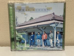 嵐　青空の下、キミのとなりCD+DVD B-6