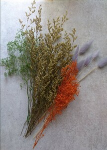 プリザーブドフラワー　花材　4種