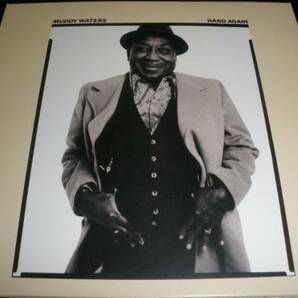 マディ・ウォーターズ ハード・アゲイン ジョニー ウィンター ブルース オリジナル 紙ジャケ 美品 MUDDY WATERS HARD AGAINの画像1