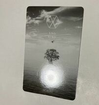 EXO チャニョル BIRD EXO-L JAPAN FC 会員限定 トレカ CHANYEOL Photocard_画像10