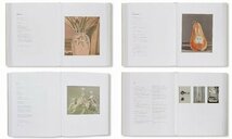 リュック・タイマンス カタログ レゾネ 図録■美術手帖 芸術新潮 ブルータス parkett art review juxtapoz Michael Borremans Luc Tuymans_画像6