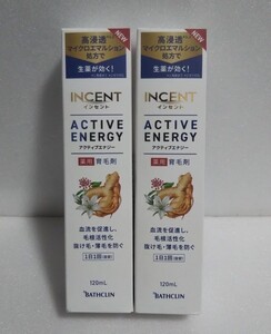インセント アクティブエナジー 薬用育毛剤 120ml 2本セット