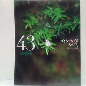 絶版◆◆週刊日本の天然記念物43　ゴイシツバメシジミ◆◆碁石燕小灰蝶 熊本県 宮崎県☆ゴイシジミ サツマシジミ　キマダラルリツバメ 他♪