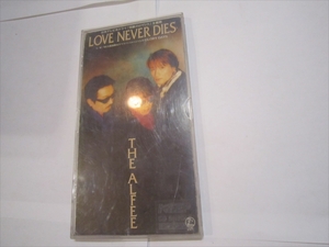 再生確認済　ALFEE LOVE NEVER DIES/GLORY DAYS　8ｃｍCDS　短冊シングルCD