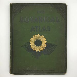 【博物画】 洋書「The Botanical Atlas」　McAlpine Daniel　1883　多色石版画52枚　イギリス/スコットランド　大判　隠花植物　種子植物