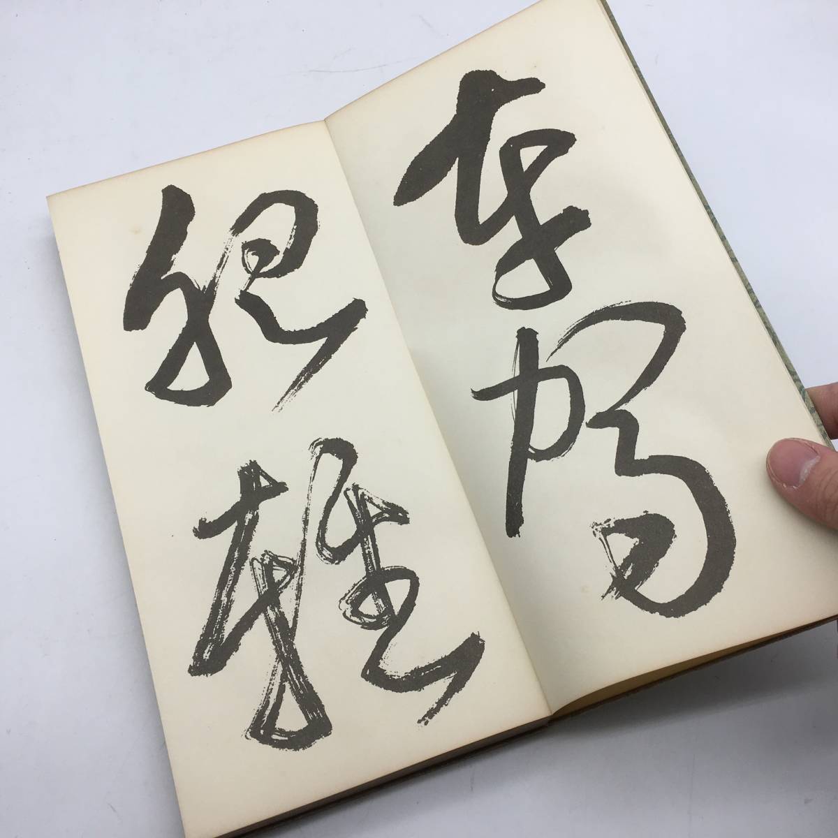 書道大雅堂草書千字文千葉庄一郎刊昭和十一年冊揃池大雅