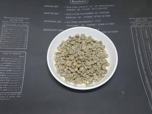 生豆　モカイルガチェフＧ１　ベストロット　１キロバック　 コンガ・セデ地区限定 