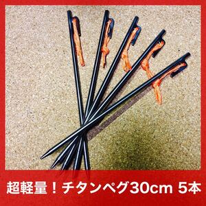 チタンペグ 30cm 5本 テント タープ 設営 キャンプ アウトドア 超軽量