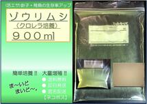 ●送料無料 匿名配送 即日発送● ゾウリムシ クロレラ培養 900ml【めだか 針子 稚魚 金魚 シュリンプ 熱帯魚】活餌_画像1