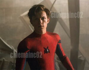 トム・ホランド/『スパイダーマン ホームカミング』スパイダースーツを着たピーター・パーカーの写真