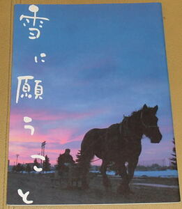 『雪に願うこと』プレスシート・B５/伊勢谷友介、佐藤浩市、小泉今日子、吹石一恵