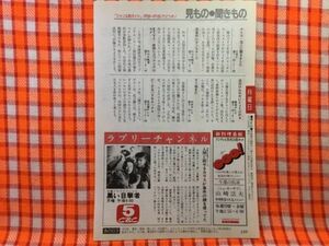 CN23154◆切抜き◇山口美江宍戸開◇黒い目撃者・月曜ドラマスペシャル・人間と話せるカラスが事件の鍵を握ってた・本格サスペンス