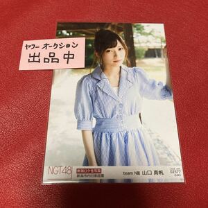 山口真帆　NGT48 公式　生写真　新潟ロケ　新潟市内旧家庭園　2018.JUN. 02577