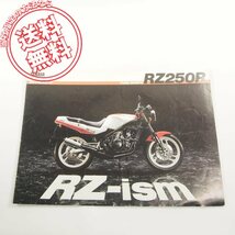 ヤマハRZ250Rカタログ/ネコポス送料無料!!8606-50D1A-011241_画像1