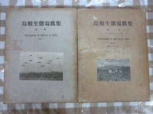 鳥類生態寫眞集（第一輯、二輯）２冊揃