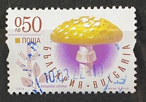 ブルガリア切手★ アマニタシトリーナ きのこと菌類（2014年）　200カ国・地域出品中