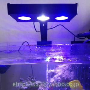 新入荷☆高品質☆LED 水槽ライト アクアリウムライト 海水魚 サンゴ 海水槽 照明 調光 LED3個 高光度 長寿命 強力 水族館 組立簡単