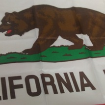 新品 California カリフォルニア ビッグフラッグ 150cmX90 カリフォルニア州旗 大型フラッグ タペストリー ガレージ インテリア_画像5