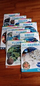 沖縄 美ら海水族館 観察ガイド 全10種　魚図鑑　中古