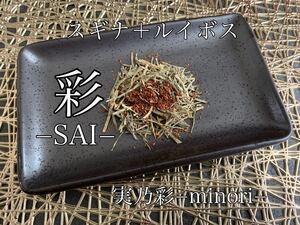 彩−SAI− スギナ茶+ルイボス ハーブティー